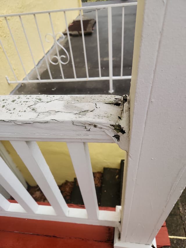 Peeling Paint & Splintered Boards